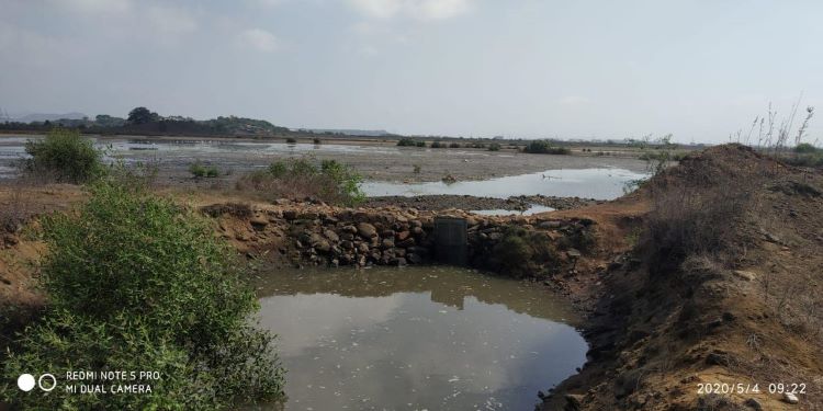 NatConnect Foundation